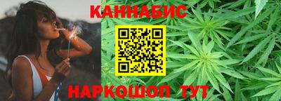 шишки Аргун