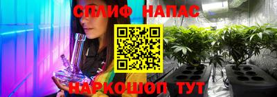 шишки Аргун